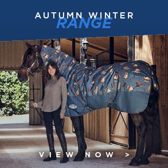 New Autumn Winter Rugs
