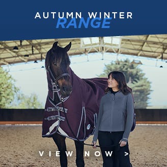 New Autumn Winter Rugs