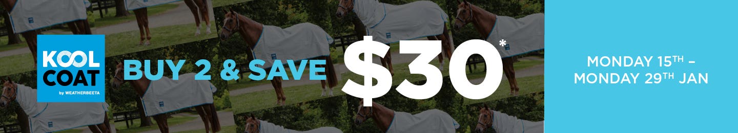 Summer Rug Savings