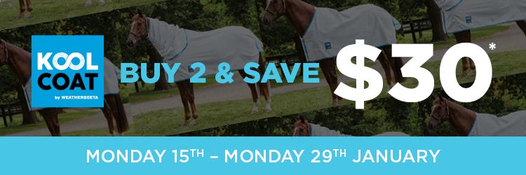 Summer Rug Savings