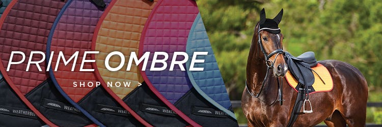 Ombre Collection