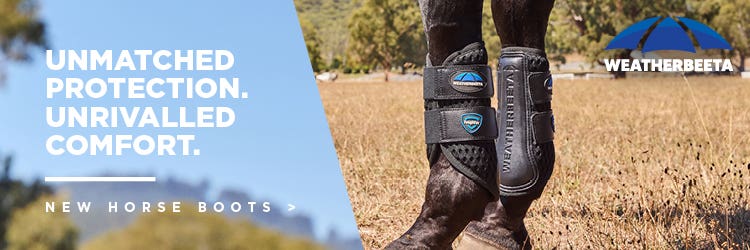 HORSE BOOTS & BANDAGES