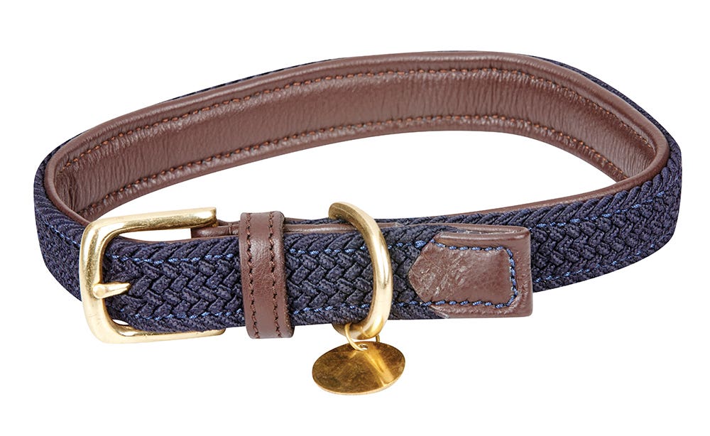 Plaited dog collar top