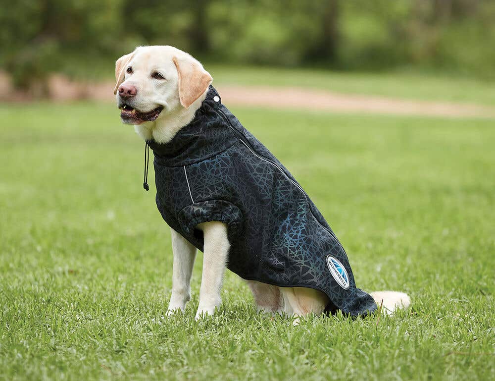 Buy ComFiTec Reflective Print Active Dog Coat Online WEATHERBEETA Horseland