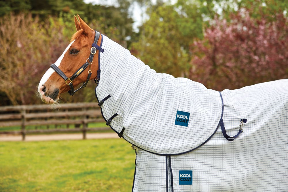 Kool coat horse rugs new arrivals