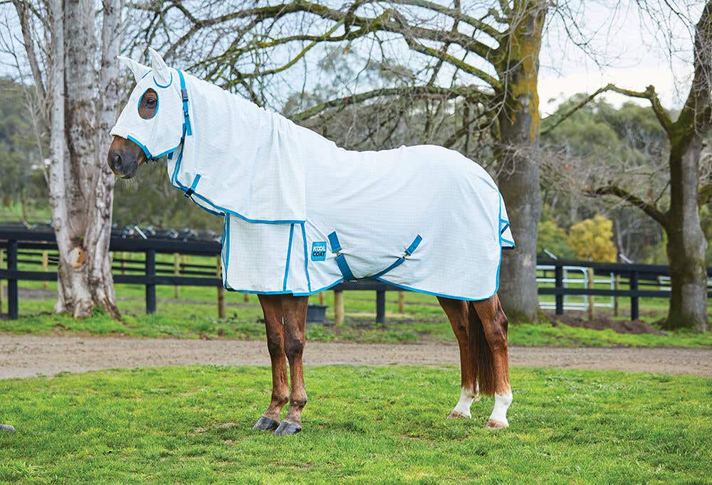 Cool coat horse clearance rugs