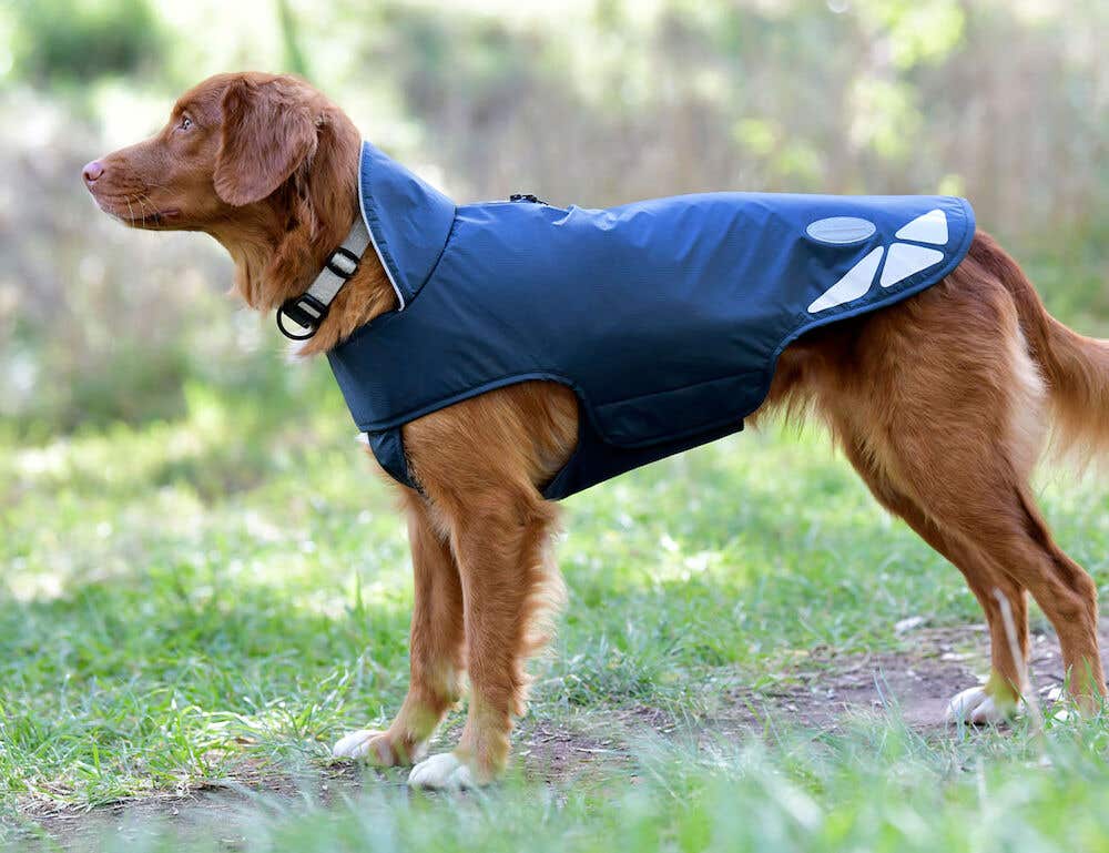 Buy Explorer Lite Dog Coat Online WEATHERBEETA Horseland