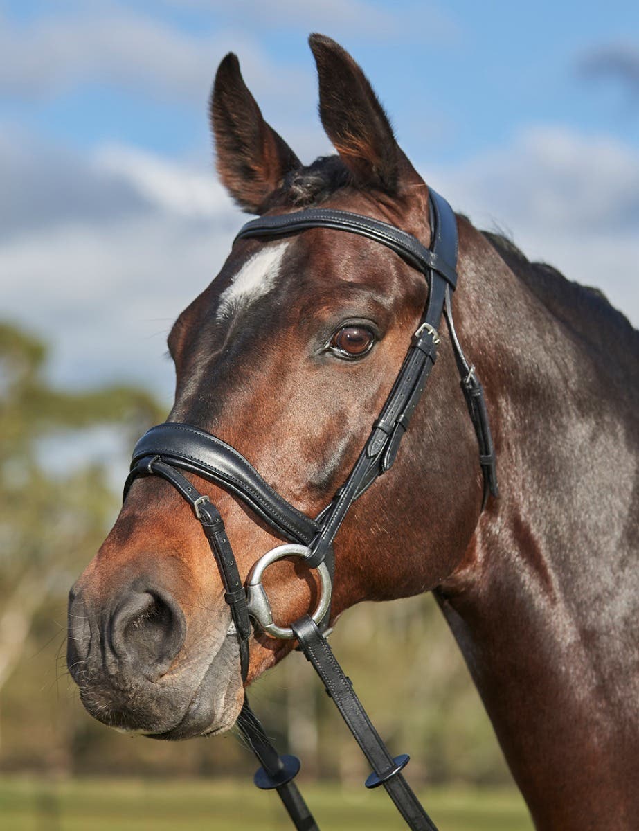 Collegiate bridle outlet