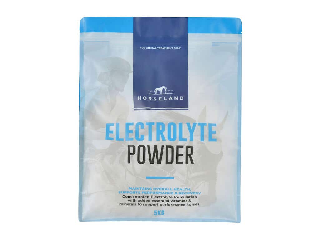 Electrolyte powder for dogs 2025