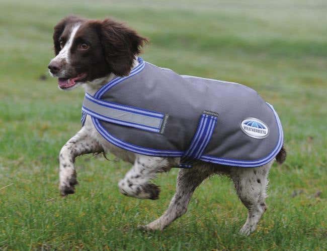 Weatherbeeta dog hot sale coats australia