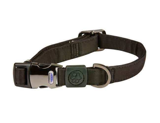 Elegance Dog Collar