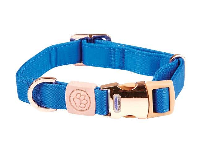 Elegance Dog Collar