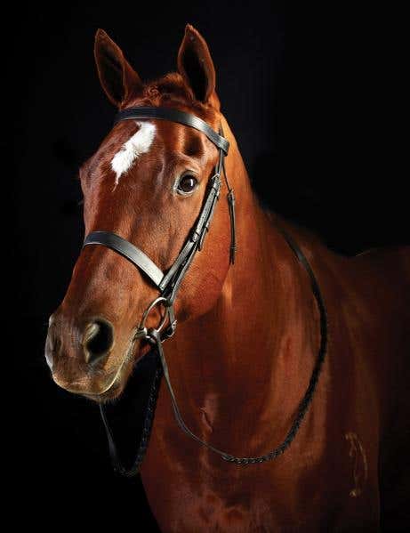Flat Cavesson II Bridle