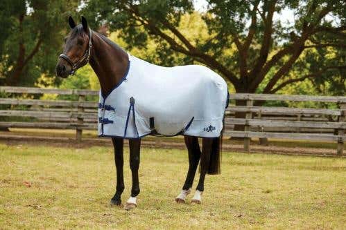 Buy 600d With Buckle Standard Neck Medium Online Rugs Accessories Saxon Horseland