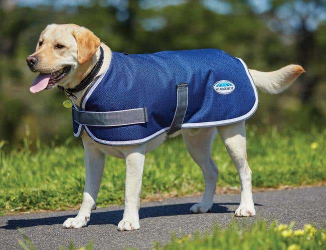 ComFiTec Parka 1200D Dog Coat