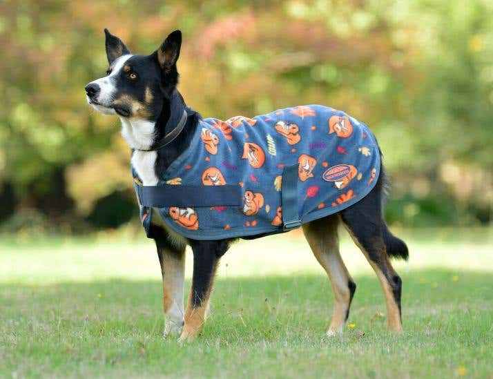 Indoor Coats Fleece Dog Coat Online Australia WeatherBeeta