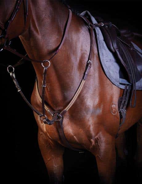 Elastic Event Breastplate