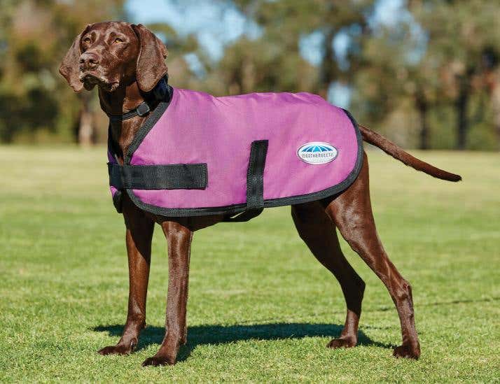 ComFiTec Classic Dog Coat