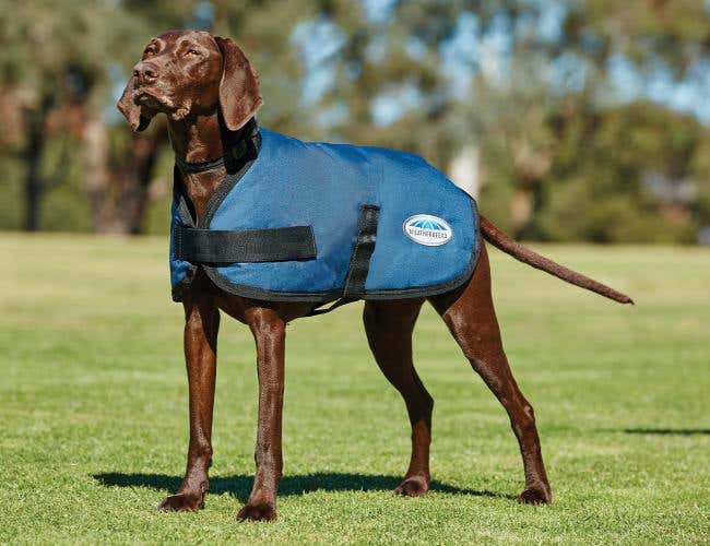 ComFiTec Classic Dog Coat