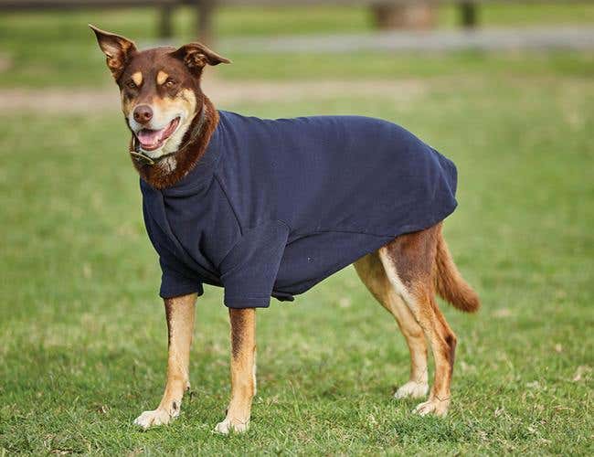 Indoor Coats Fleece Dog Coat Online Australia WeatherBeeta