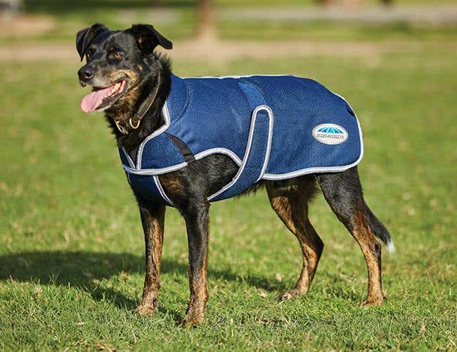 Dog sales jackets australia
