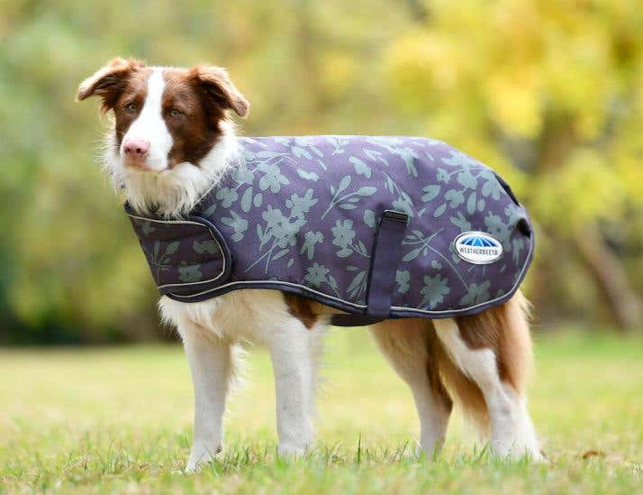 Puppy coats pets at home clearance