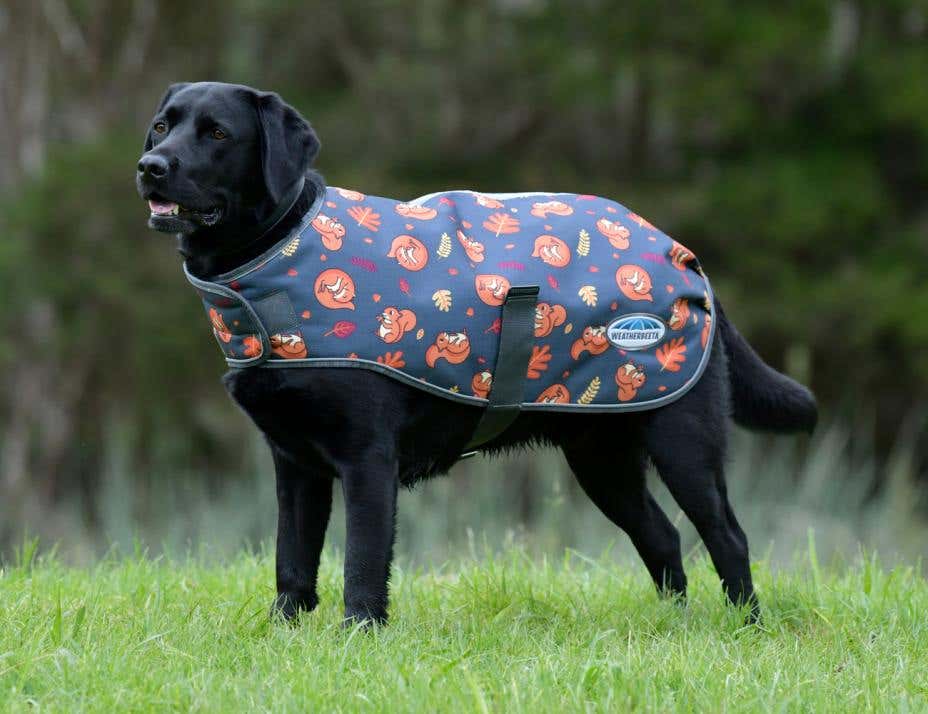 Horseland shop dog coats