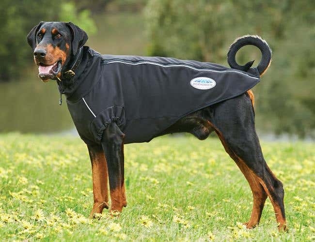 Indoor dog coats hot sale