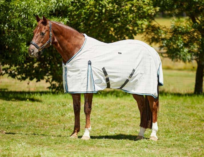 Cotton Summer Sheet Standard Neck