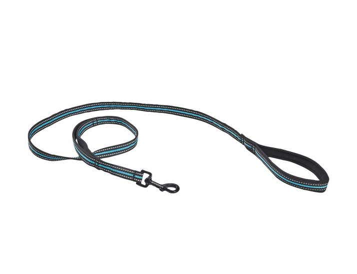 Dog leads store online
