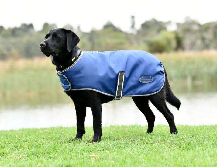 Dog shop jackets australia