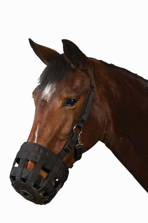 Grazing Muzzle