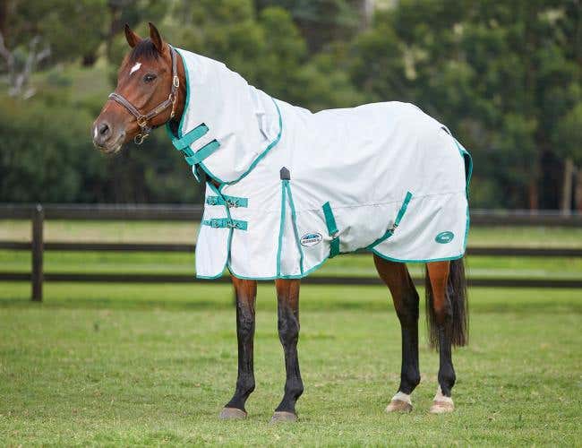 Turnouts Paddock Rugs Buy Online