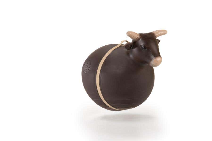 Big Country Bouncy Bull