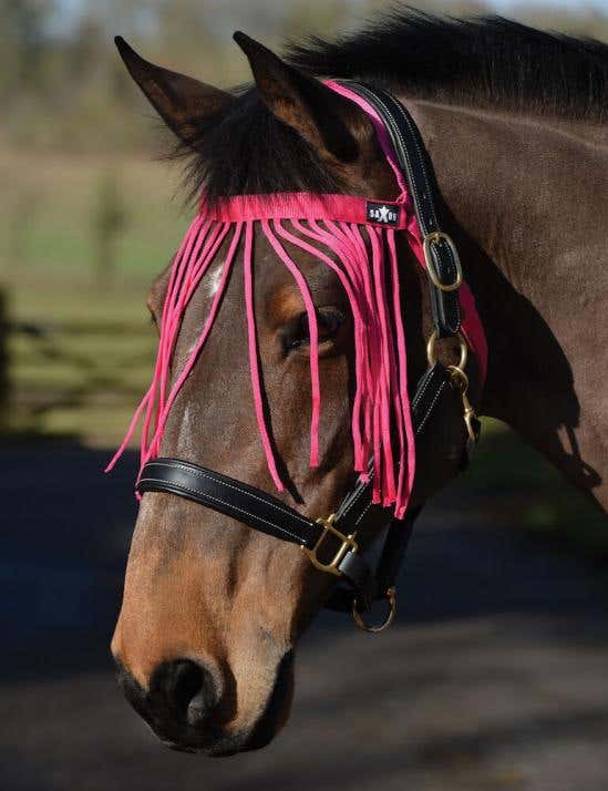 Fly Fringe