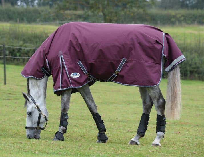 Details about   Weatherbeeta Comfitec Plus Dynamic Medium Lite Combo Unisex Horse Rug Turnout 