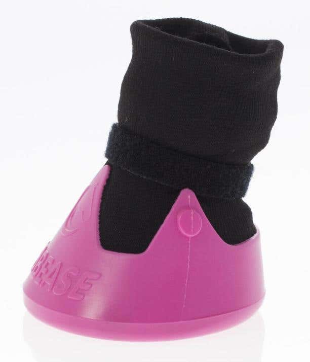 Hoof Sock