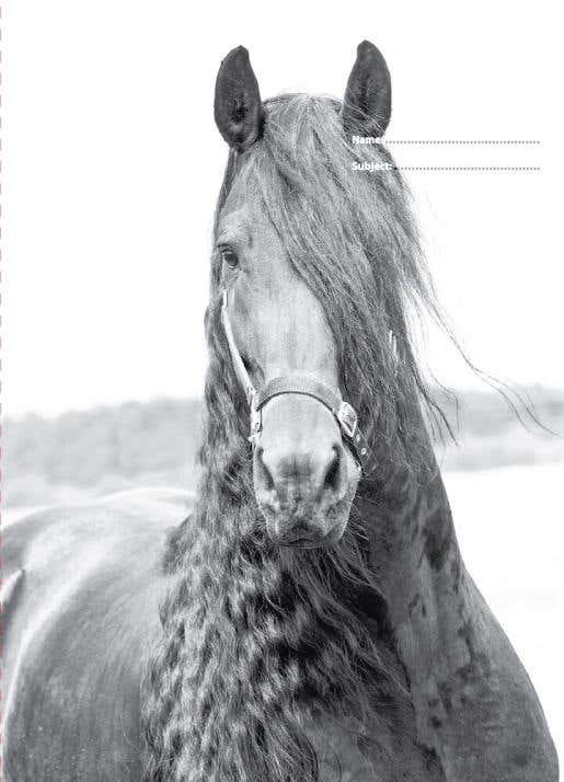 Black & White Horses A4 Book Cover 2