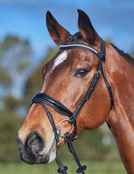  Comfort Crown Patent Flash Bridle