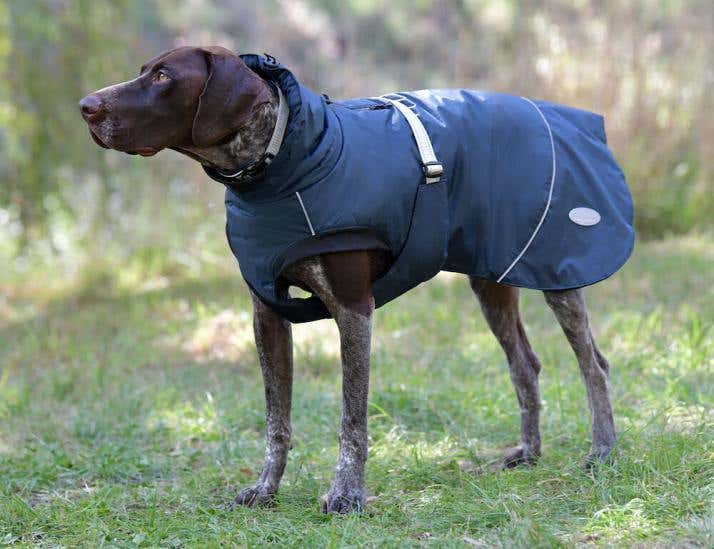 Large dog coats australia top