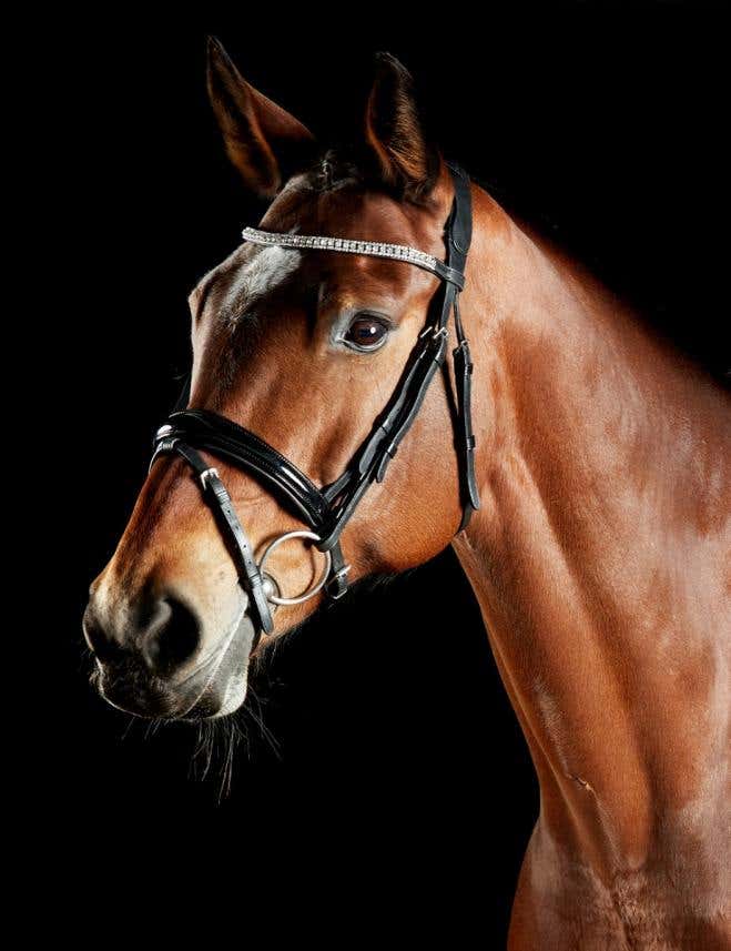  ComFiTec Luna Bridle