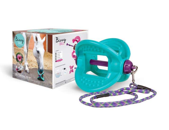 Bizzy Horse Toy
