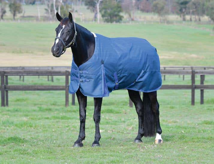 ComFiTec Prelim Standard Neck Medium