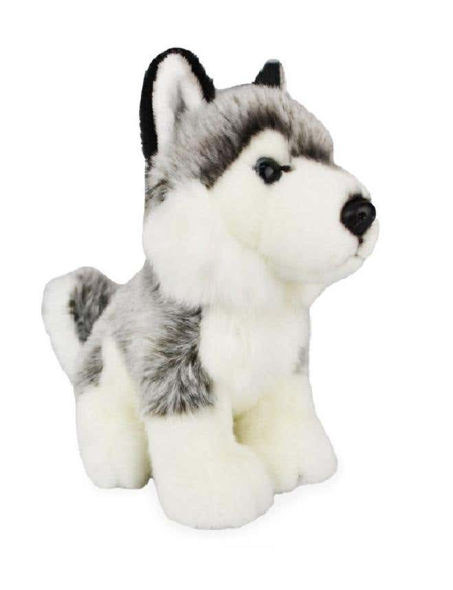Korimco dog store