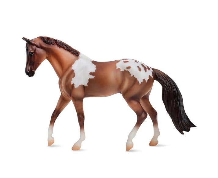 Freedom Red Dun Pintaloosa