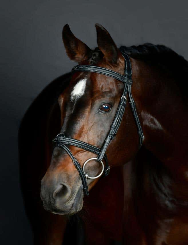  ComFiTec Opulux Fancy Stitch Padded Hanoverian Bridle