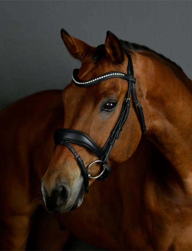 ComFiTec Opulux Padded Dressage Bridle