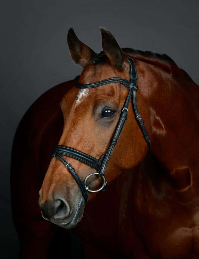  ComFiTec Opulux Plain Padded Hanoverian Flash Bridle