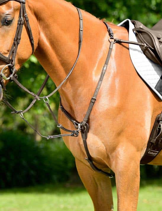 ComFiTec Opulux 3-Point Padded Raised Breastplate With Running Attachment