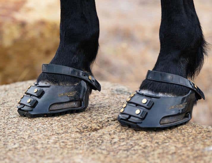 Scoot Boot Pastern Strap